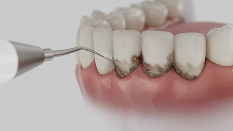 Reliable Dental contractor in Woodinville, WA by Dentist Open Now